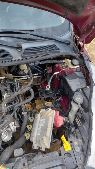 IMG-20260425-WA0017.jpeg